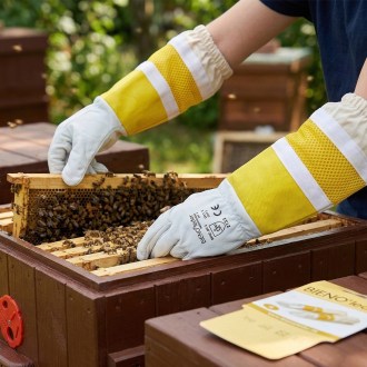 Bieno Leder Handschuhe