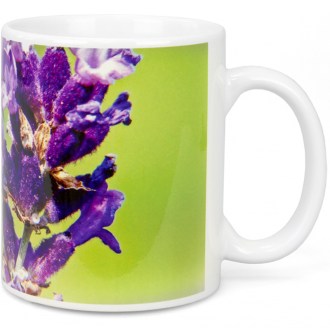 ApiSina Tasse Biene auf lila Blume