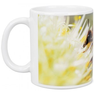 ApiSina Tasse Biene mit weißer Blume