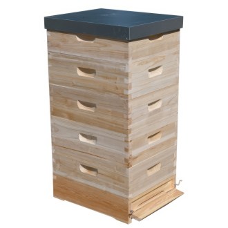 Lorenzbeute Langstroth 5 x 2/3 - 159 - 10 R. mit Varroaboden