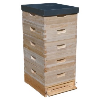 Lorenzbeute Langstroth 5 x 2/3 - 159 - 10 R. mit Varroaboden