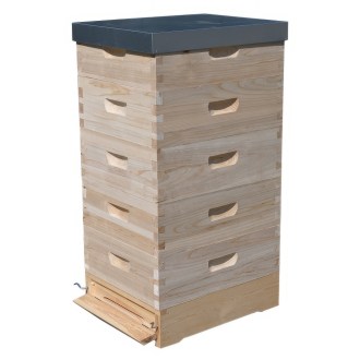 Lorenzbeute Langstroth 5 x 2/3 - 159 - 10 R. mit Varroaboden