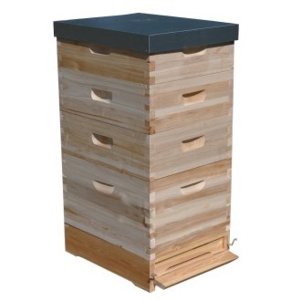 Lorenzbeute Langstroth 5 x 2/3 - 159 - 10 R. mit Varroaboden