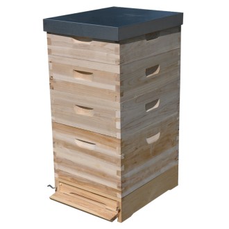 Lorenzbeute Dadant US 1 x(285) + 3x2/3(159) - 10 R. mit Varroaboden