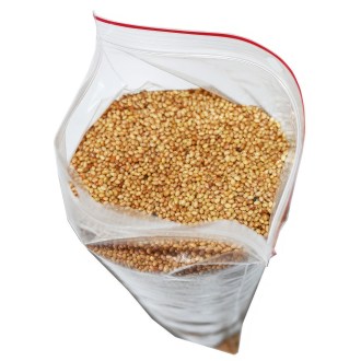 Inkarnierter Klee Samen für Bienen 0,5 kg