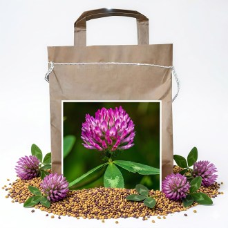 Wiesenklee SLAVIN - 1 kg