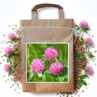 Wiesenklee VENDELIN - 1 kg