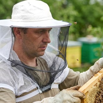 Kombi-Schlüpfschleier