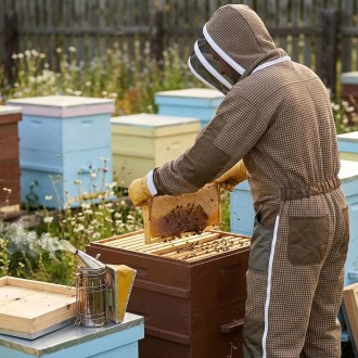 Mellarius Imkeranzug mit Belüftung - Elegant Bee - S-XXXXL