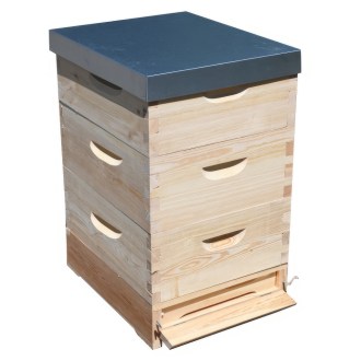 Lorenzbeute Langstroth 3 x 3/4 - 185 - 10 R. mit Varroaboden