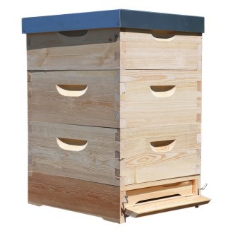 Lorenzbeute Langstroth 3 x 3/4 - 185 - 10 R. mit Varroaboden