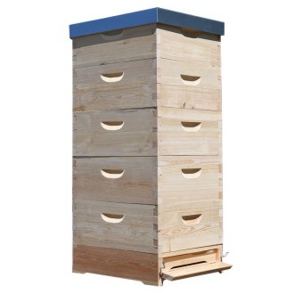 Lorenzbeute Langstroth 5 x 3/4 - 185 - 10 R. mit Varroaboden