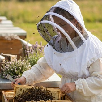 Mellarius Imkerhaube mit Baumwollgewebe