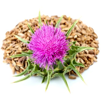 Mariendistel - 0,5 kg