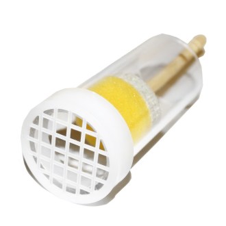 Markierungs und Fangkolben zum Markieren von Bienenköniginnen