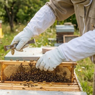 Lederhandschuhe - Ziege - S-XXL
