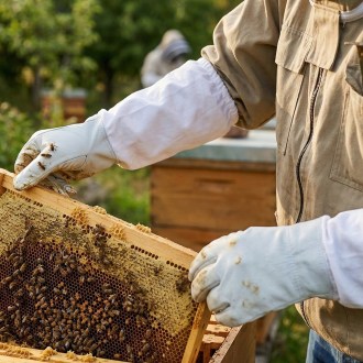 Lederhandschuhe - Ziege - S-XXL