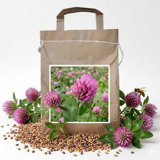 Wiesenklee SLAVOJ 1 kg