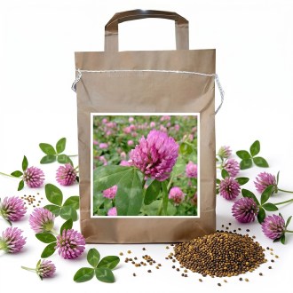 Wiesenklee SLAVOJ 1 kg