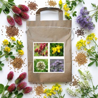 Harmony Nektarspendermischung für Bienen einjähriger Typ 2 - 1 kg