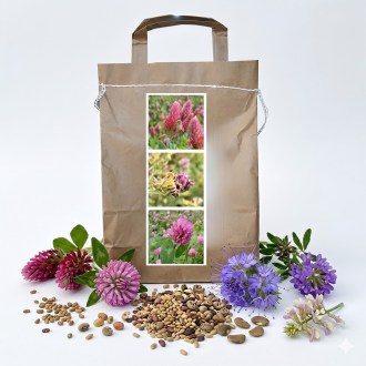 Nektarspendende Mischung für Bienen ausdauernde Sommer - 1 kg