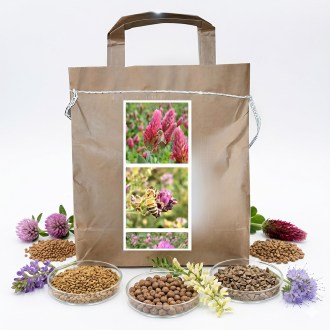 Nektarspendende Mischung für Bienen ausdauernde Sommer - 1 kg