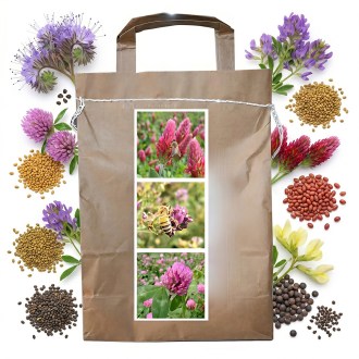 Nektarspendende Mischung für Bienen ausdauernde Sommer - 1 kg