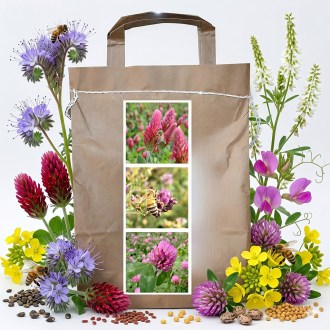 Nektarspendermischung für Bienen - einjährige - Frühjahr - 1 kg