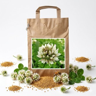 Kriechender Klee JURA 1 kg