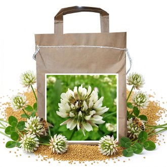 Kriechender Klee JURA 1 kg