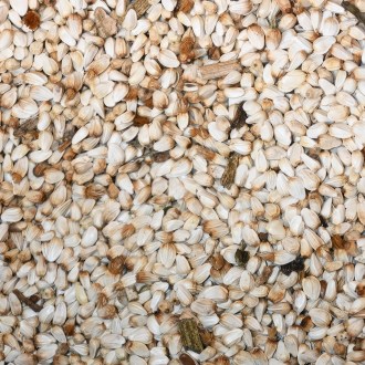 Färberdistel der Färberdistel - 0,5 kg