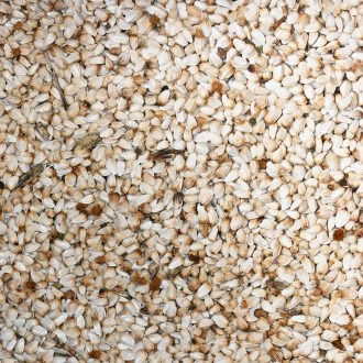 Färberdistel der Färberdistel - 0,5 kg