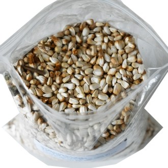 Färberdistel der Färberdistel - 0,5 kg