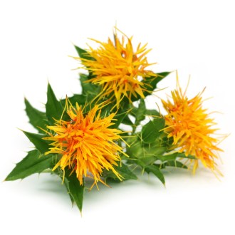 Färberdistel der Färberdistel - 0,5 kg