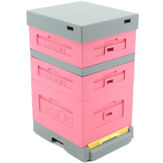 Dadant Blatt-Bienenstock mit Varroa-Boden – lackiert (rosa), 10 Jahre