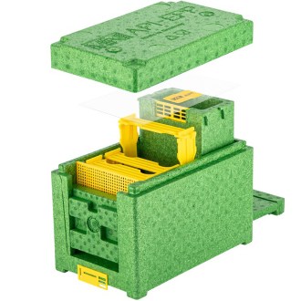 Begattungskästchen MINI API EPP - grün Lysoň