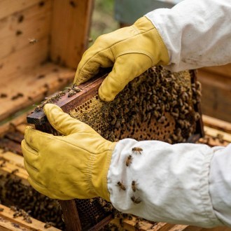 Imprägniertes Lederhandschuhe - S-XXL