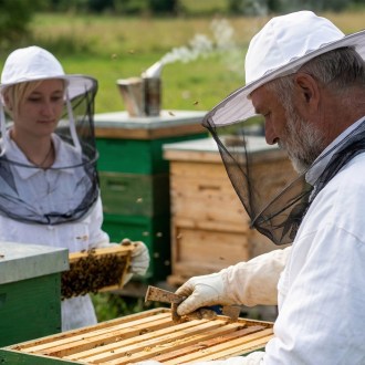 Imkerhut-Schleier von oben geöffnet
