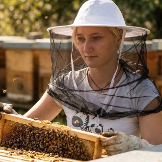 Imkerhut-Schleier von oben geöffnet
