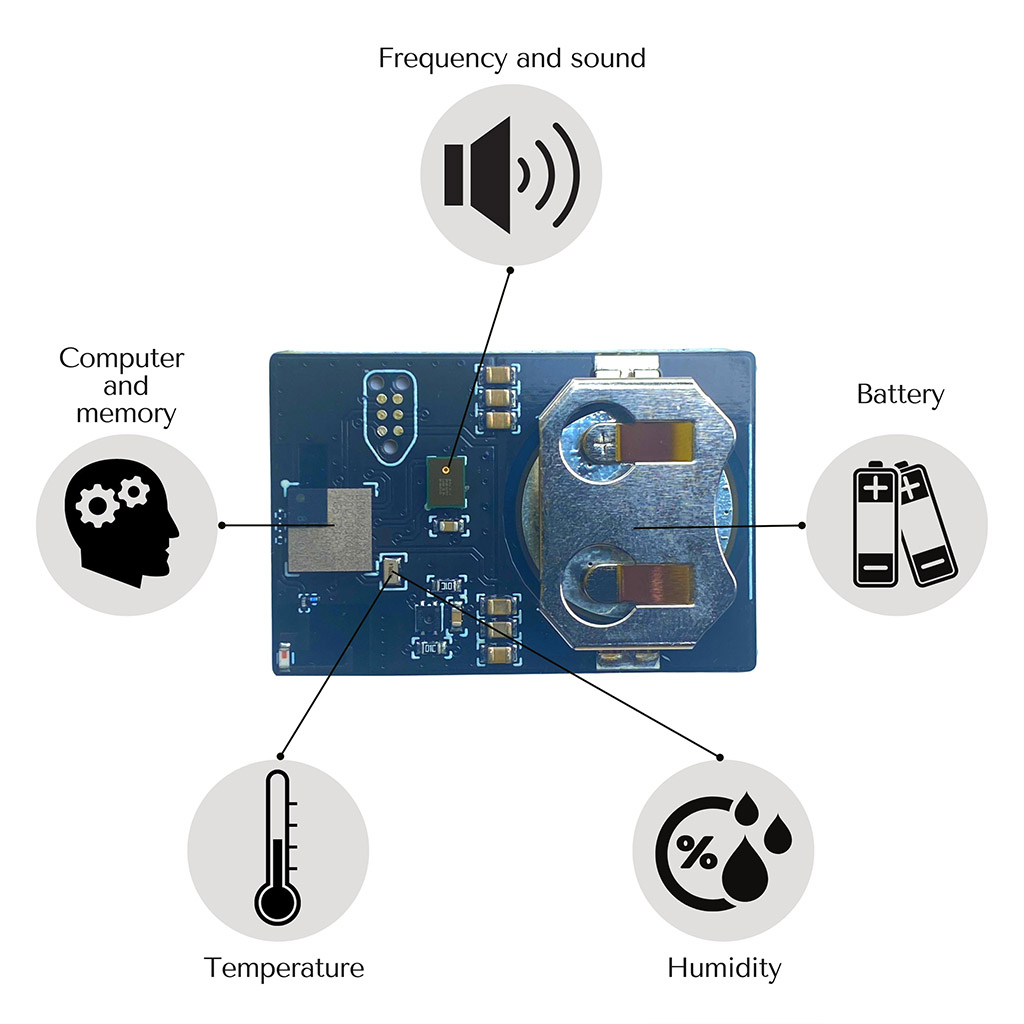 Bienenstock Sensor Bee Heart