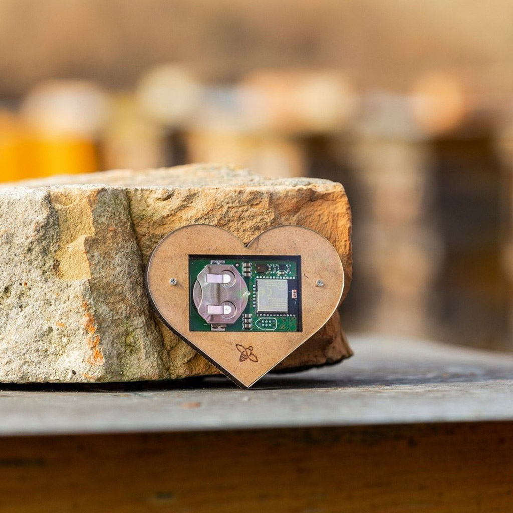 Bienenstock Sensor Bee Heart