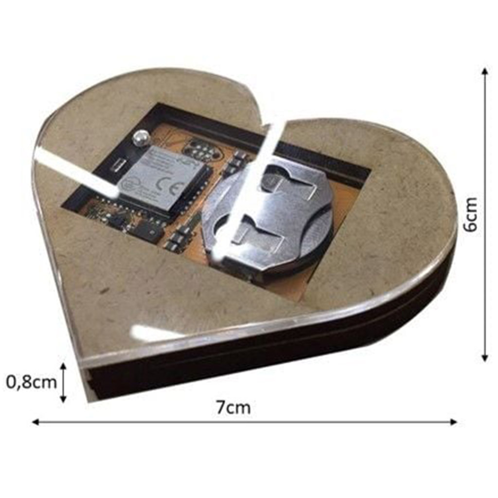 Bienenstock Sensor Bee Heart